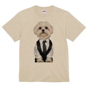 }`[Y TVc fB[X t@  t  vg JWA 킢 lԗp h ̃fUC ʔ X[c }`[Y lN^C Vc