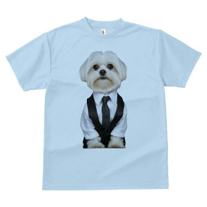 }`[Y TVc fB[X t@  t  vg JWA 킢 lԗp h ̃fUC ʔ X[c }`[Y lN^C Vc