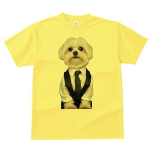 }`[Y TVc fB[X t@  t  vg JWA 킢 lԗp h ̃fUC ʔ X[c }`[Y lN^C Vc