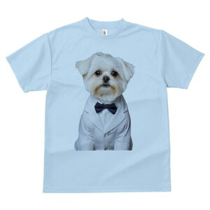 }`[Y TVc fB[X t@  t  vg JWA 킢 lԗp h ̃fUC ʔ lN^C }`[Y X[c