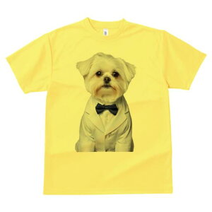 }`[Y TVc fB[X t@  t  vg JWA 킢 lԗp h ̃fUC ʔ lN^C }`[Y X[c