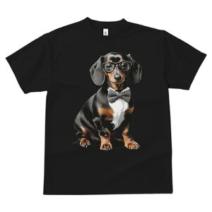 _bNXth TVc fB[X t@  t  vg JWA 킢 lԗp h ̃fUC ʔ Kl _bNXth lN^C tH[} 