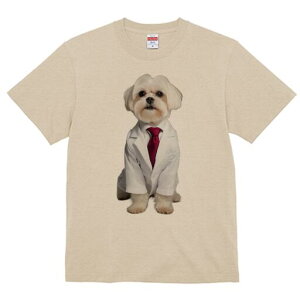 }`[Y TVc fB[X t@  t  vg JWA 킢 lԗp h ̃fUC ʔ X[c }`[Y lN^C