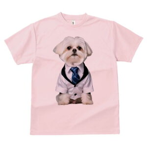 }`[Y TVc fB[X t@  t  vg JWA 킢 lԗp h ̃fUC ʔ lN^C }`[Y X[c