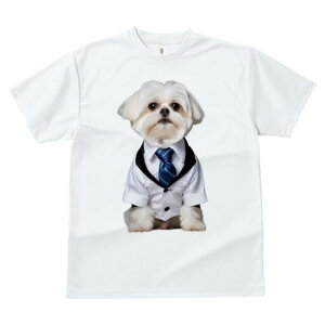 }`[Y TVc fB[X t@  t  vg JWA 킢 lԗp h ̃fUC ʔ lN^C }`[Y X[c