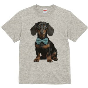 _bNXth TVc fB[X t@  t  vg JWA 킢 lԗp h ̃fUC ʔ lN^C _bNXth 