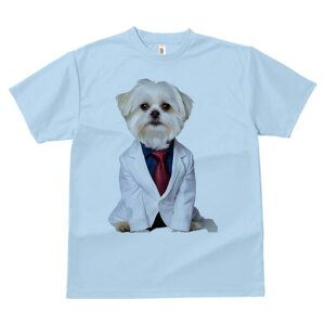 }`[Y TVc fB[X t@  t  vg JWA 킢 lԗp h ̃fUC ʔ X[c }`[Y lN^C