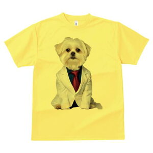 }`[Y TVc fB[X t@  t  vg JWA 킢 lԗp h ̃fUC ʔ X[c }`[Y lN^C