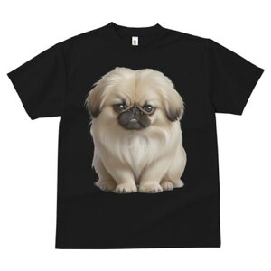 yLj[Y TVc fB[X t@  t  vg JWA 킢 lԗp h ̃fUC ʔ yLj[Y