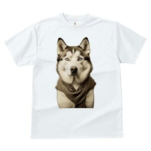 VxAnXL[ TVc fB[X t@  t  vg JWA 킢 lԗp h ̃fUC ʔ XJ[t VxAnXL[