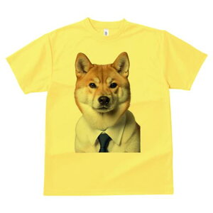 Č TVc fB[X t@  t  vg JWA 킢 lԗp h ̃fUC ʔ CVc Č lN^C