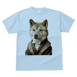 Č TVc fB[X t@  t  vg JWA 킢 lԗp h ̃fUC ʔ lN^C Č X[c