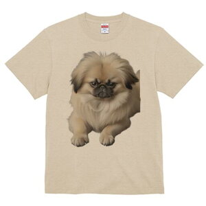 yLj[Y TVc fB[X t@  t  vg JWA 킢 lԗp h ̃fUC ʔ ӂӂ yLj[Y 킢  ybg