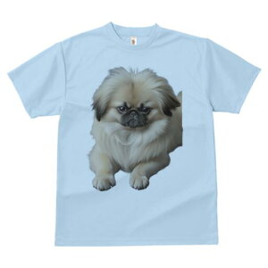 yLj[Y TVc fB[X t@  t  vg JWA 킢 lԗp h ̃fUC ʔ ӂӂ yLj[Y 킢  ybg