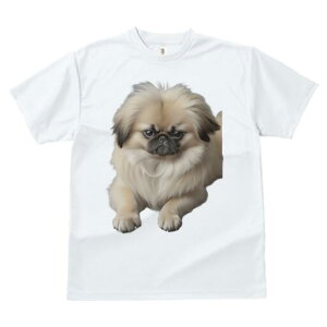 yLj[Y TVc fB[X t@  t  vg JWA 킢 lԗp h ̃fUC ʔ ӂӂ yLj[Y 킢  ybg