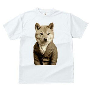 Č TVc fB[X t@  t  vg JWA 킢 lԗp h ̃fUC ʔ X[c Č WPbg tH[}