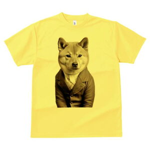 Č TVc fB[X t@  t  vg JWA 킢 lԗp h ̃fUC ʔ X[c Č WPbg tH[}