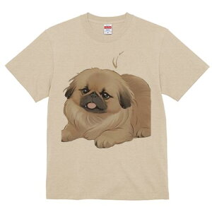 yLj[Y TVc fB[X t@  t  vg JWA 킢 lԗp h ̃fUC ʔ yLj[Y