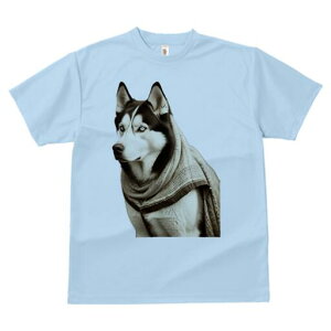 �V�x���A���n�X�L�[ T�V���c ���f�B�[�X ���t�@�� ���� �t�� ���� �v�����g �J�W���A�� ���킢�� �l�ԗp ���h ���������̃f�U�C�� �ʔ� �X�J�[�t �V�x���A���n�X�L�[