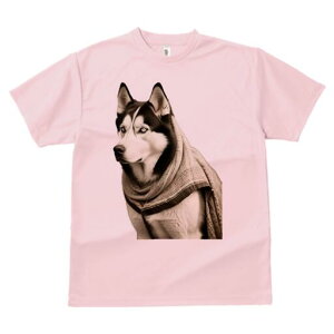 VxAnXL[ TVc fB[X t@  t  vg JWA 킢 lԗp h ̃fUC ʔ XJ[t VxAnXL[