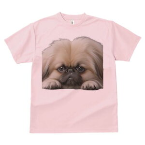 yLj[Y TVc fB[X t@  t  vg JWA 킢 lԗp h ̃fUC ʔ ӂӂ yLj[Y 킢  ybg