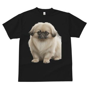 yLj[Y TVc fB[X t@  t  vg JWA 킢 lԗp h ̃fUC ʔ yLj[Y