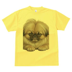 yLj[Y TVc fB[X t@  t  vg JWA 킢 lԗp h ̃fUC ʔ ӂӂ yLj[Y 킢 ybg