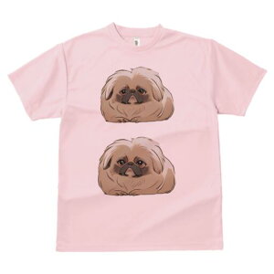 yLj[Y TVc fB[X t@  t  vg JWA 킢 lԗp h ̃fUC ʔ yLj[Y