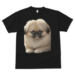 yLj[Y TVc fB[X t@  t  vg JWA 킢 lԗp h ̃fUC ʔ yLj[Y