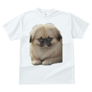 yLj[Y TVc fB[X t@  t  vg JWA 킢 lԗp h ̃fUC ʔ yLj[Y