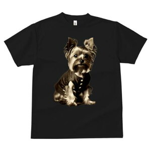 [NV[eA TVc fB[X t@  t  vg JWA 킢 lԗp h ̃fUC ʔ  [NV[eA {^