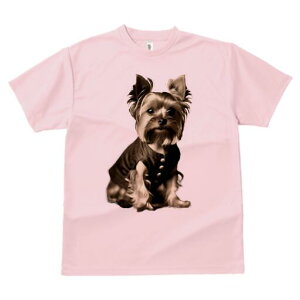 [NV[eA TVc fB[X t@  t  vg JWA 킢 lԗp h ̃fUC ʔ  [NV[eA {^