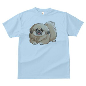 yLj[Y TVc fB[X t@  t  vg JWA 킢 lԗp h ̃fUC ʔ yLj[Y