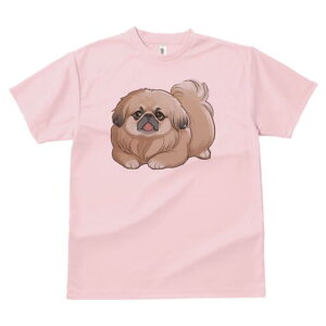 yLj[Y TVc fB[X t@  t  vg JWA 킢 lԗp h ̃fUC ʔ yLj[Y