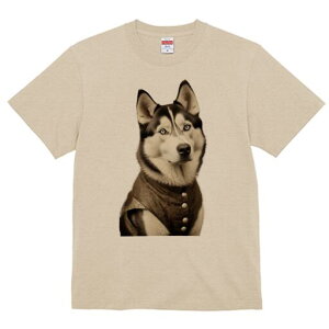 VxAnXL[ TVc fB[X t@  t  vg JWA 킢 lԗp h ̃fUC ʔ {^ VxAnXL[ 