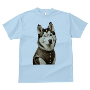 VxAnXL[ TVc fB[X t@  t  vg JWA 킢 lԗp h ̃fUC ʔ {^ VxAnXL[ 