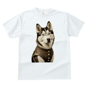 VxAnXL[ TVc fB[X t@  t  vg JWA 킢 lԗp h ̃fUC ʔ {^ VxAnXL[ 