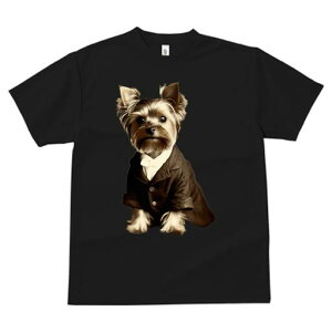 [NV[eA TVc fB[X t@  t  vg JWA 킢 lԗp h ̃fUC ʔ X[c [NV[eA lN^C