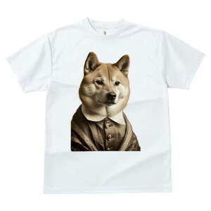 Č TVc fB[X t@  t  vg JWA 킢 lԗp h ̃fUC ʔ Vc Č 