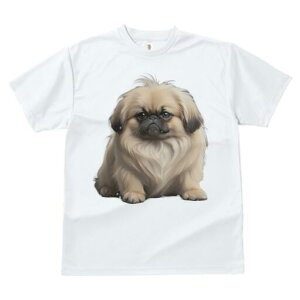 yLj[Y TVc fB[X t@  t  vg JWA 킢 lԗp h ̃fUC ʔ yLj[Y