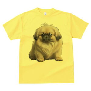 yLj[Y TVc fB[X t@  t  vg JWA 킢 lԗp h ̃fUC ʔ yLj[Y