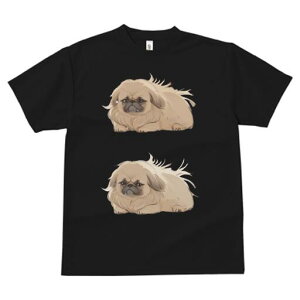 yLj[Y TVc fB[X t@  t  vg JWA 킢 lԗp h ̃fUC ʔ yLj[Y