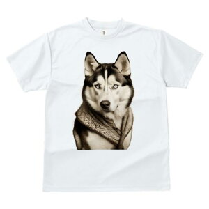 VxAnXL[ TVc fB[X t@  t  vg JWA 킢 lԗp h ̃fUC ʔ XJ[t VxAnXL[