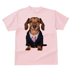 _bNXth TVc fB[X t@  t  vg JWA 킢 lԗp h ̃fUC ʔ X[c _bNXth lN^C rWlX