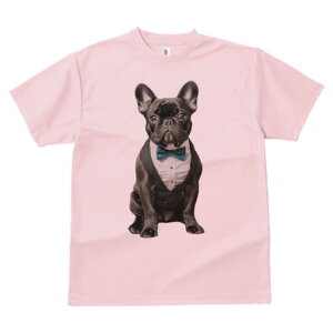 t`uhbO TVc fB[X t@  t  vg JWA 킢 lԗp h ̃fUC ʔ lN^C t`uhbO ^LV[h