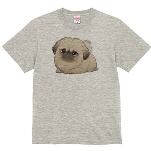 yLj[Y TVc fB[X t@  t  vg JWA 킢 lԗp h ̃fUC ʔ yLj[Y