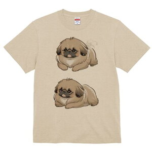 yLj[Y TVc fB[X t@  t  vg JWA 킢 lԗp h ̃fUC ʔ yLj[Y