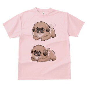 yLj[Y TVc fB[X t@  t  vg JWA 킢 lԗp h ̃fUC ʔ yLj[Y