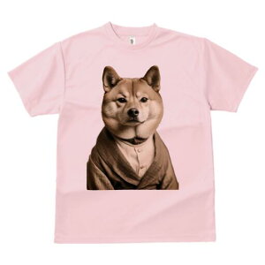 Č TVc fB[X t@  t  vg JWA 킢 lԗp h ̃fUC ʔ X[c Č Vc lN^C