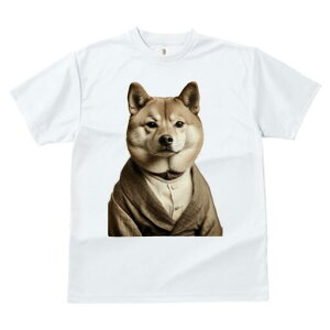 Č TVc fB[X t@  t  vg JWA 킢 lԗp h ̃fUC ʔ X[c Č Vc lN^C